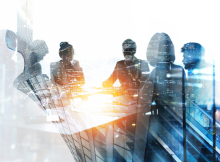 Senior Vistex® Techno-Functional Consultant